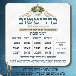 פרשת ראה