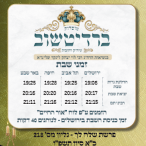 צילום מסך 2026-06-11 095822
